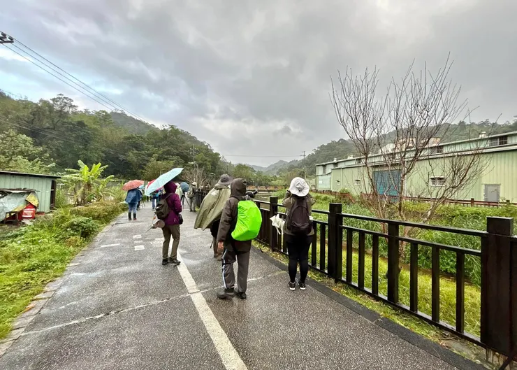 圖02 對面有ㄧ樹白頭翁