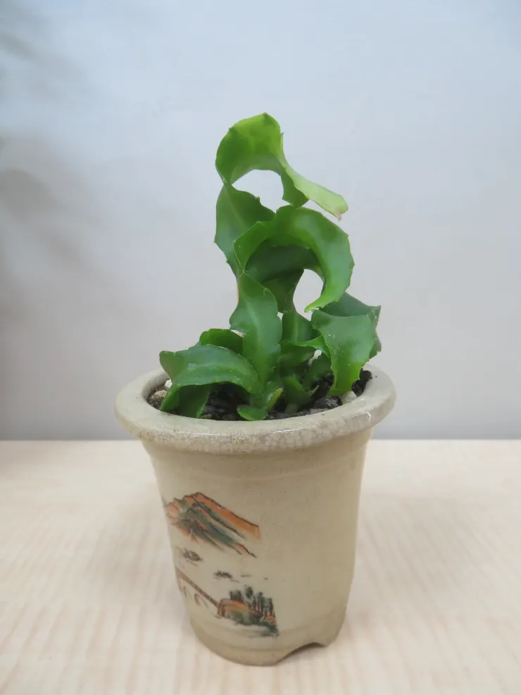 新莊農會112.05.22