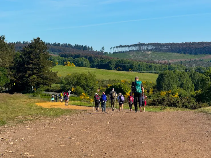 温ㄤ說這樣一大群外國人走在一起，很像陰屍路！🤣