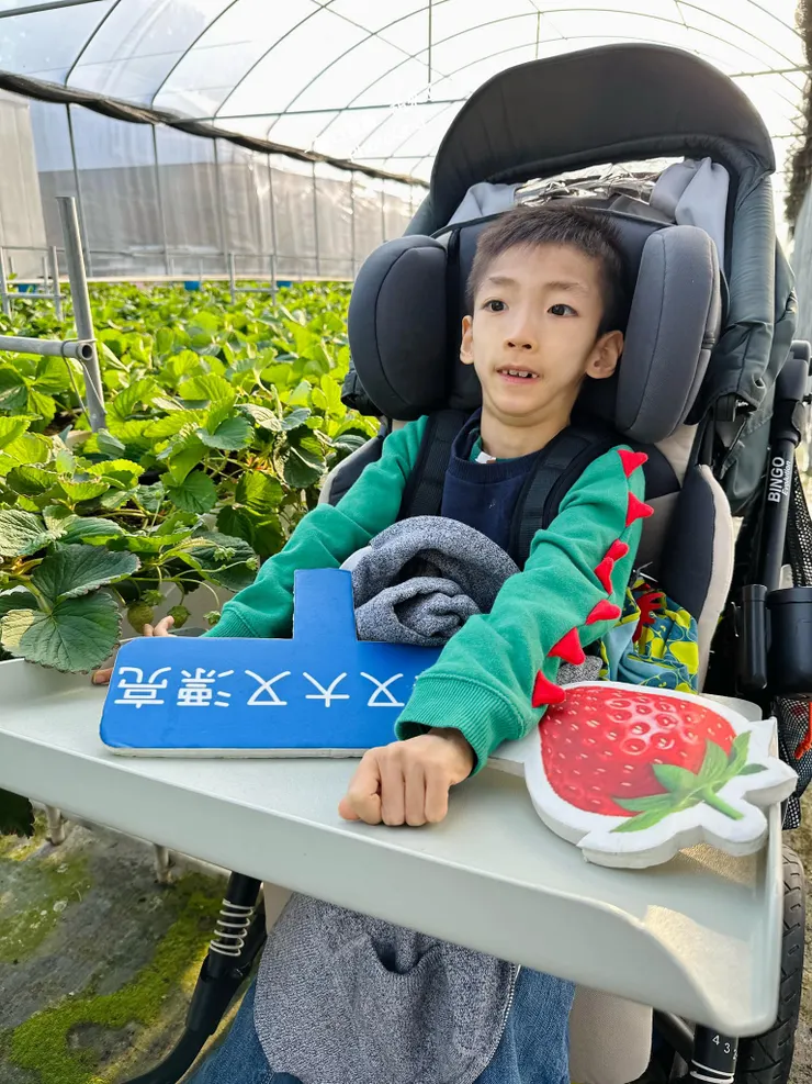 高架的草莓園若有無障礙環境,即使行動不便一樣可以參與。