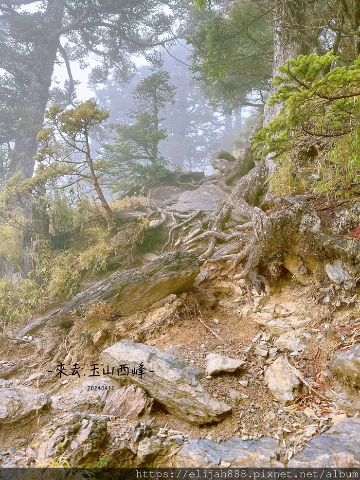 【玉山主峰西峰.兩天兩夜】排雲山莊-玉山西峰/玉山西峰神祠(