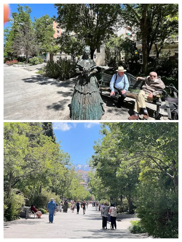 很多長者來散步曬太陽