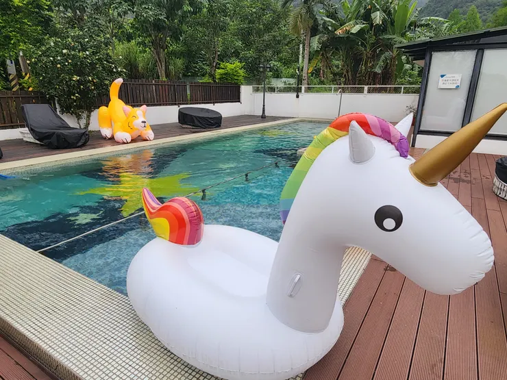 夏天的時候光這個泳池就能讓孩子玩整天了吧