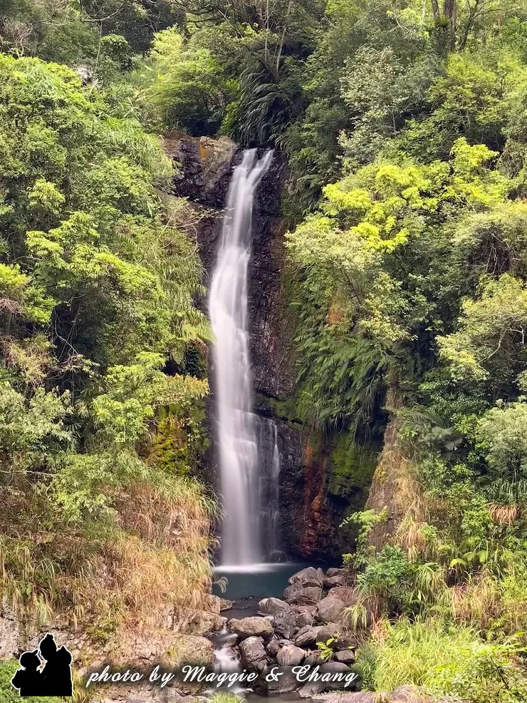 沿著步道遠眺第一層瀑布，瀑布水勢從高處傾瀉而下，白色水流在森林綠意中格外醒目。遠觀瀑布的層次感與環繞的樹林，讓人感受到大自然的壯麗與清涼，為整趟森林散步揭開序幕。