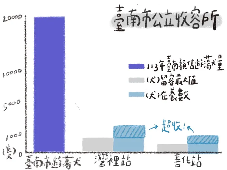 資料來源：2025年6月5日全國收容管理系統。製圖：吳寀彥