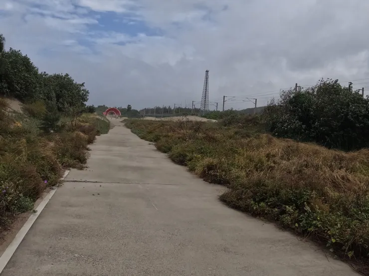 因為跌倒過,也不敢騎乘,只能牽行通過。