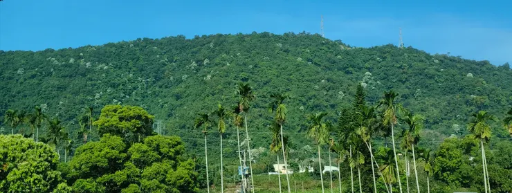 藍天白雲還有小白花