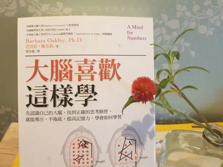 大腦喜歡這樣學