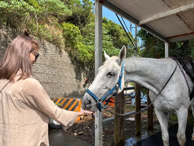 外澳小山丘馬場-教學
