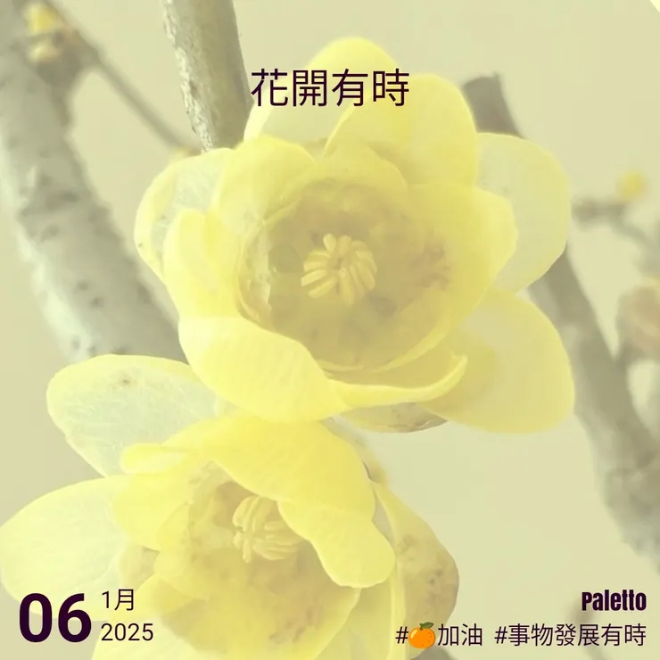 【桔言桔語•每天送給自己一句話】