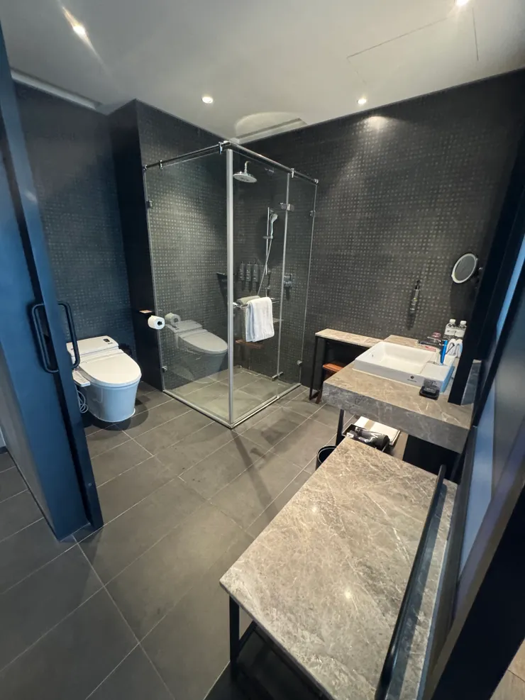 浴廁空間大，有免治馬桶，可惜這個房型沒有浴缸