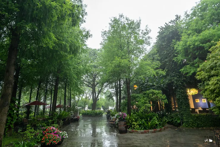 家園藝術咖啡牛排館,家園牛排菜單,北斗美食推薦,彰化景觀餐廳,彰化牛排推薦,家園牛排預約,北斗家園牛排評價,彰化庭園餐廳,北斗聚餐推薦,家園藝術咖啡牛排館停車