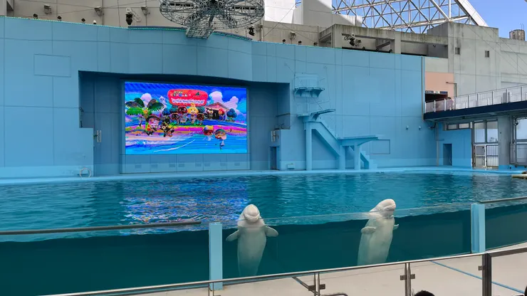 讓人看得目不轉睛。