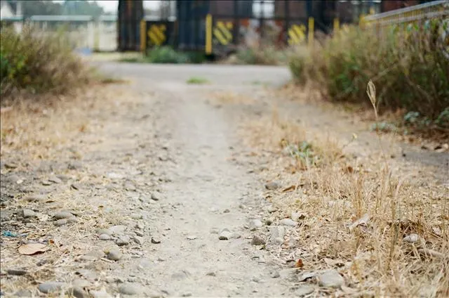 FM2 & flim : shot by Emma @台南，台灣。 29/03/2009.