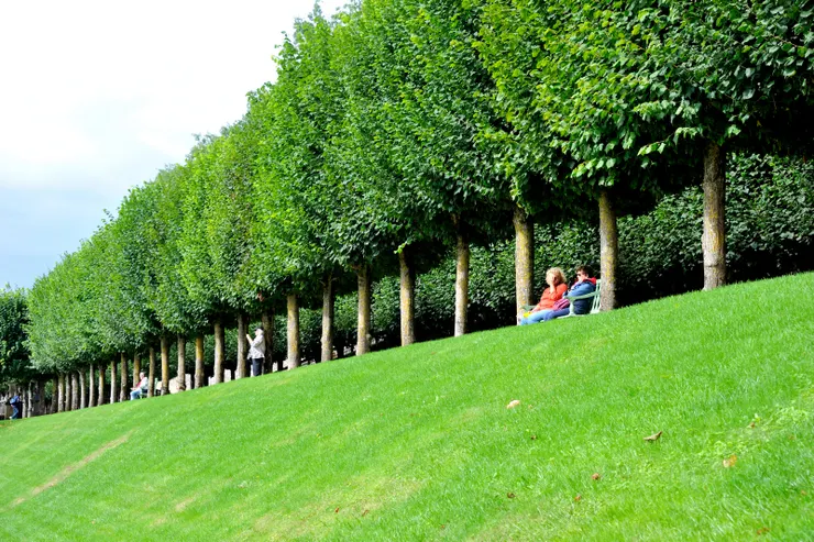 【樹籬線切割視野又提供憩息涼陰】