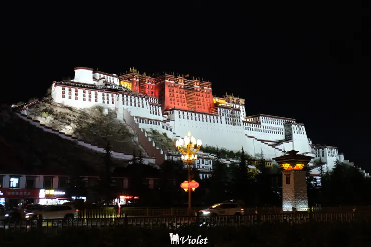 布達拉宮夜景