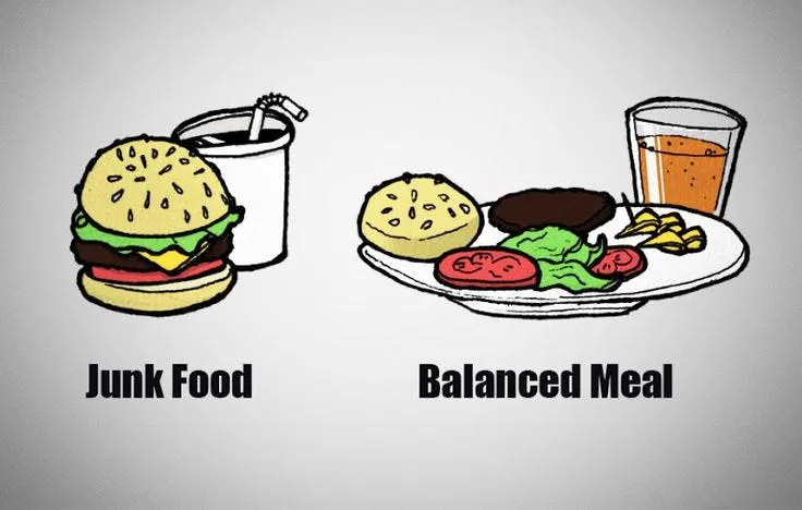 https://www.pinterest.com/pin/balanced-meal--427138345882467124/