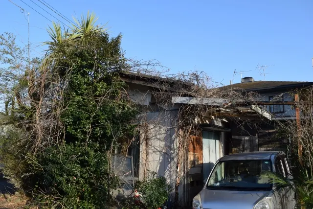 photo-ac網站 作者: FRANK211