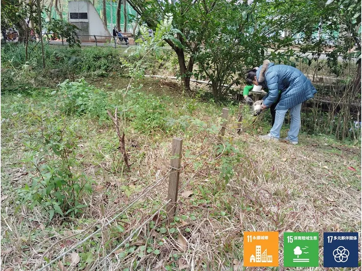 拆除A區原有的圍樁，擴大原生態維護區的範圍