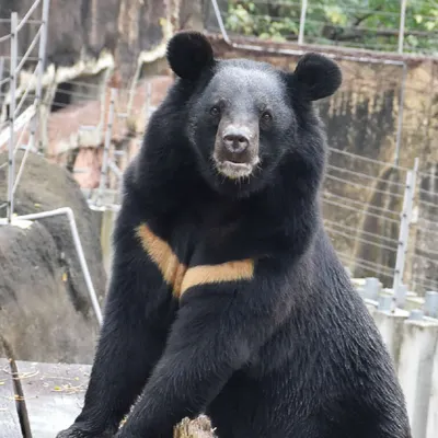 阿宗-漫話日常的沙龍