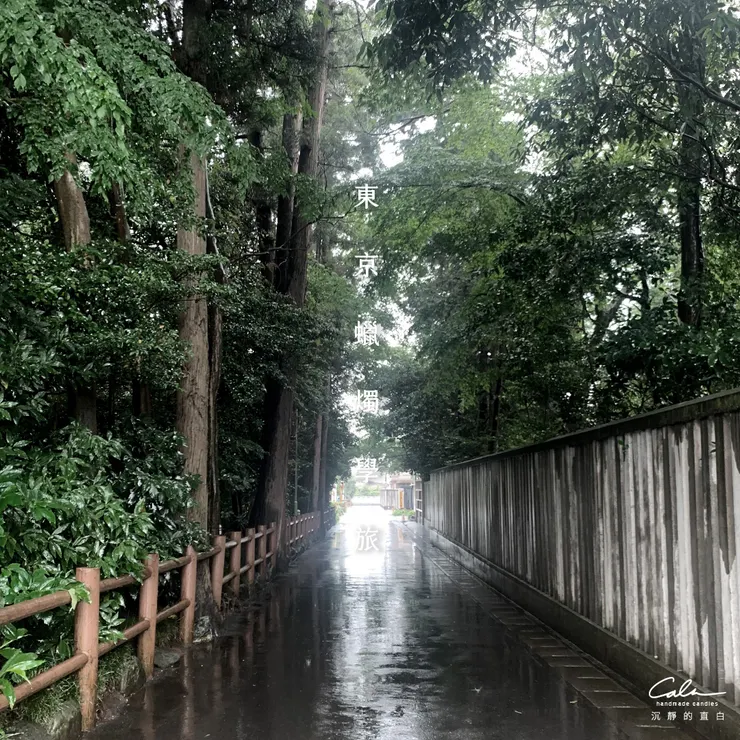 很喜歡這條小路，必須穿越才能抵達目的地。