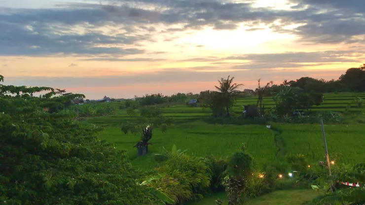 工作區的田園風景