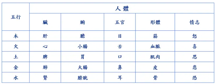 中醫基本臟腑對應五行