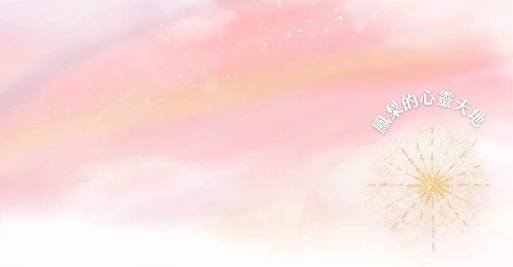 鳳梨的心靈天地的沙龍