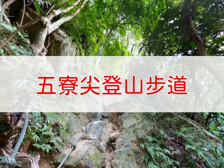 【新北】臺灣百大必訪步道-五寮尖登山步道 | 全長：5.5公里 | 難度：中