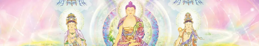 心的力量