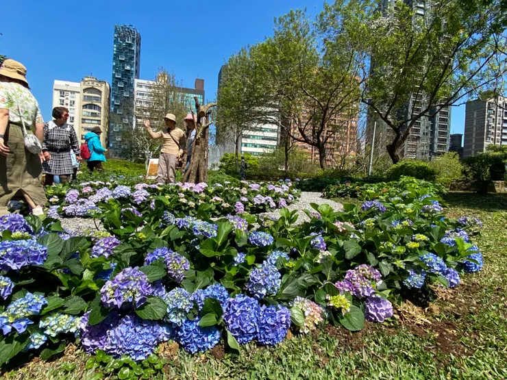 從捷運站出來看到的第一個花圃