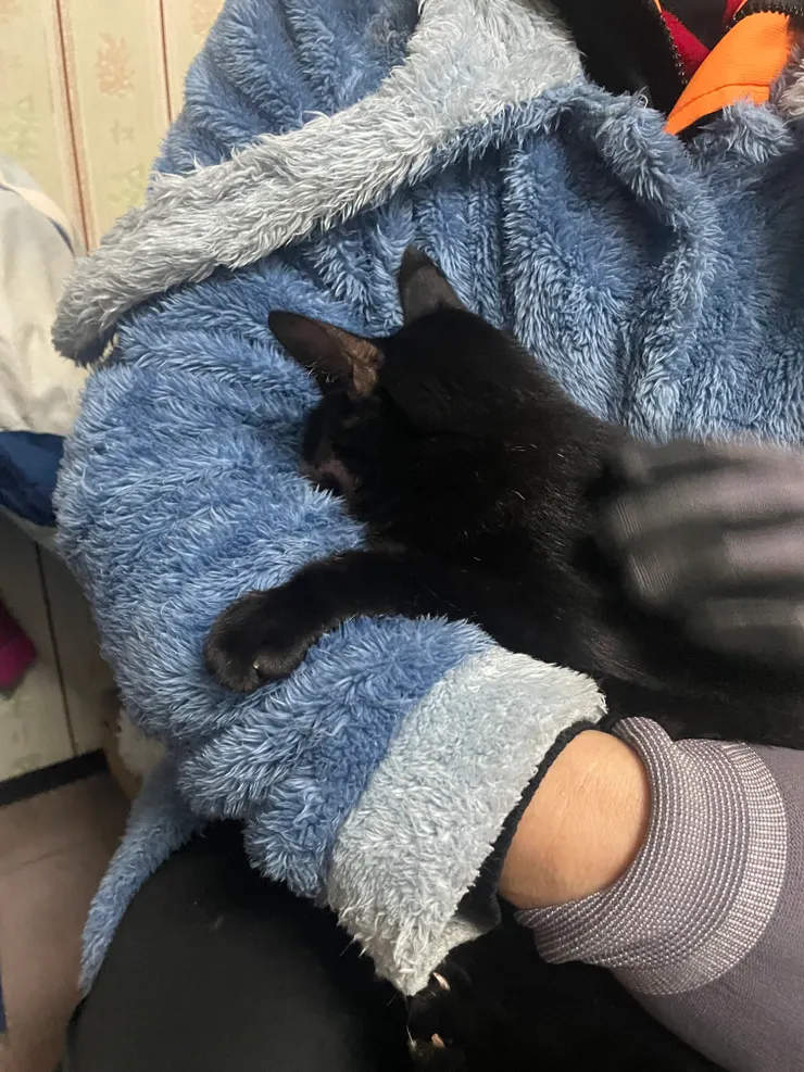 每次換藥吃藥就拒絕面對現實的嘉麗