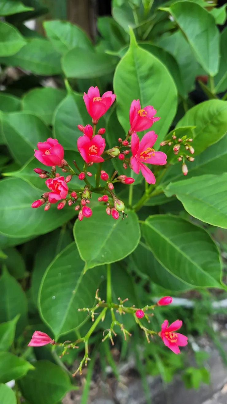 自己拍攝-若截圖請註明出處