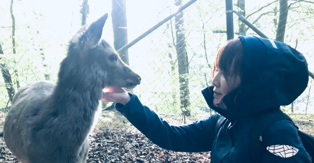 豬醫師黃君Huang Chun