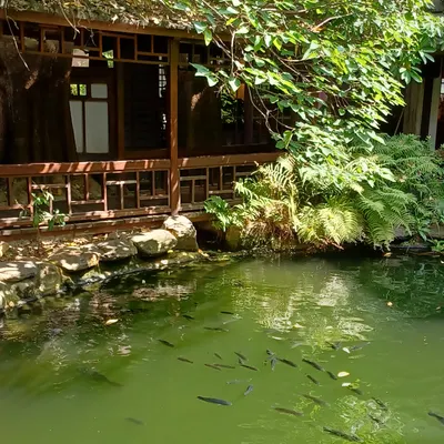 金沐樨的繆思花園