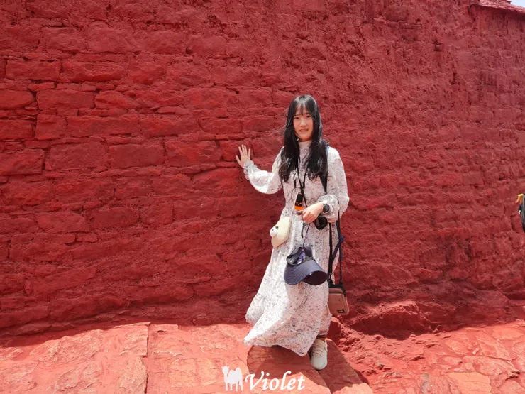 西藏拉薩 布達拉宮