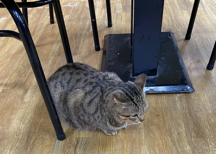 拍攝於2021年11月28日，九份 黃金博物館