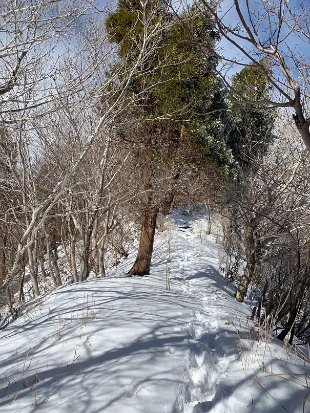 愈到高處積雪愈厚