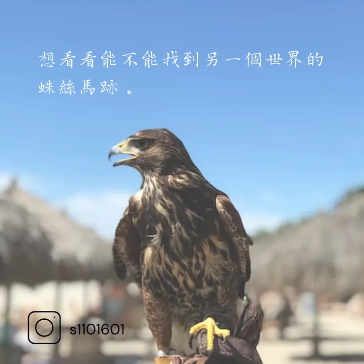 《馴羊記》－找一本書來討論生活的意義與價值(不小王子)