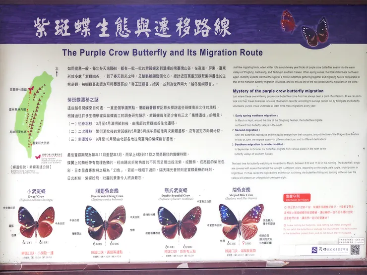 茂林國家風景區-紫斑蝶生態與遷移路線。