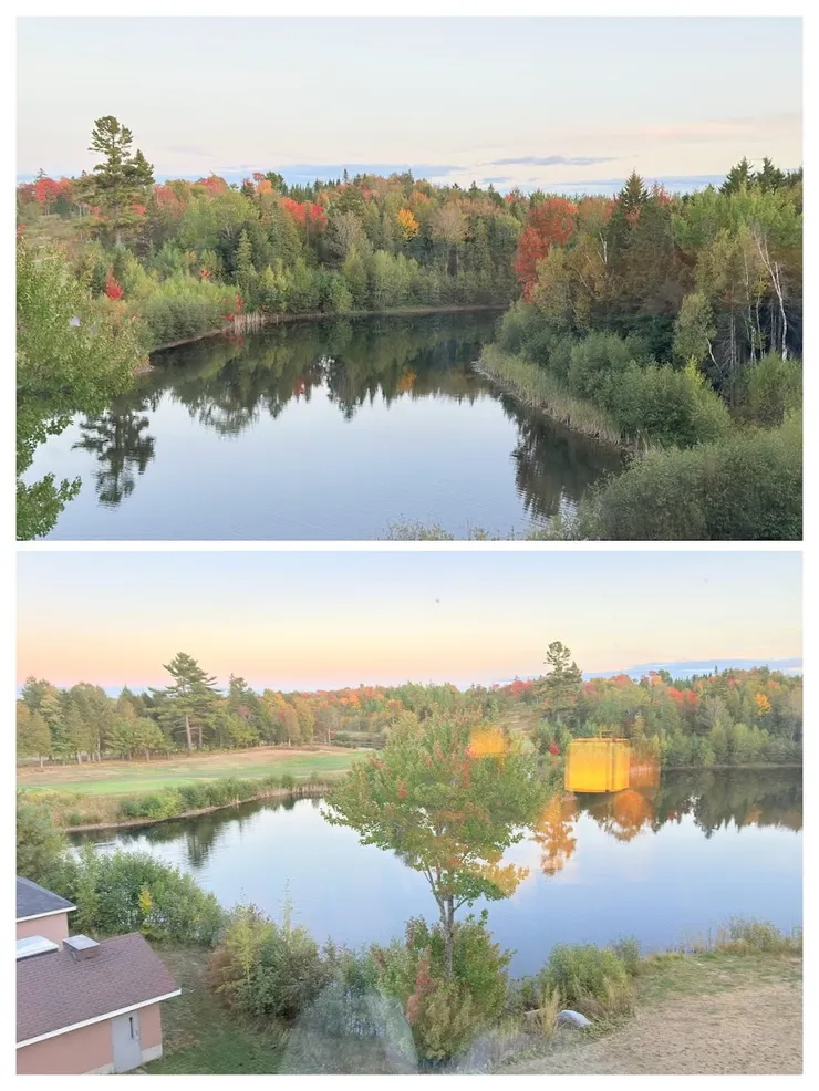 窗戶看見秋天楓紅了