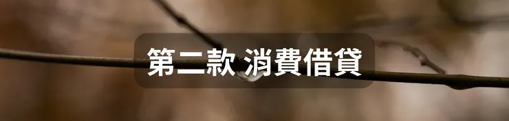 第二款 消費借貸