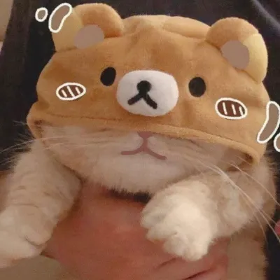 Feay(╯‵□′)╯︵┴─┴的沙龍