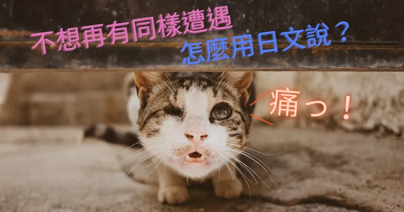 不想再有同樣遭遇，怎麼用日文說