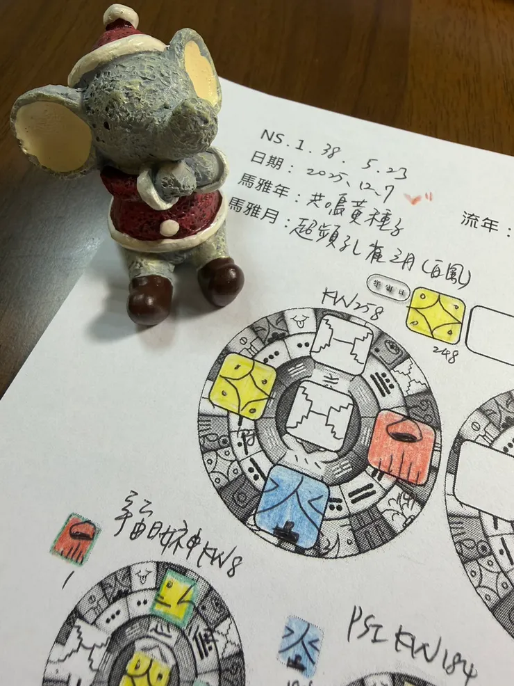 2025.12.7馬雅流日，同場加映應景的大象💕