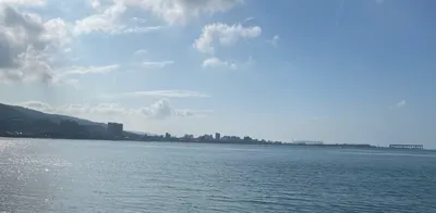 踩著文字 牽著你