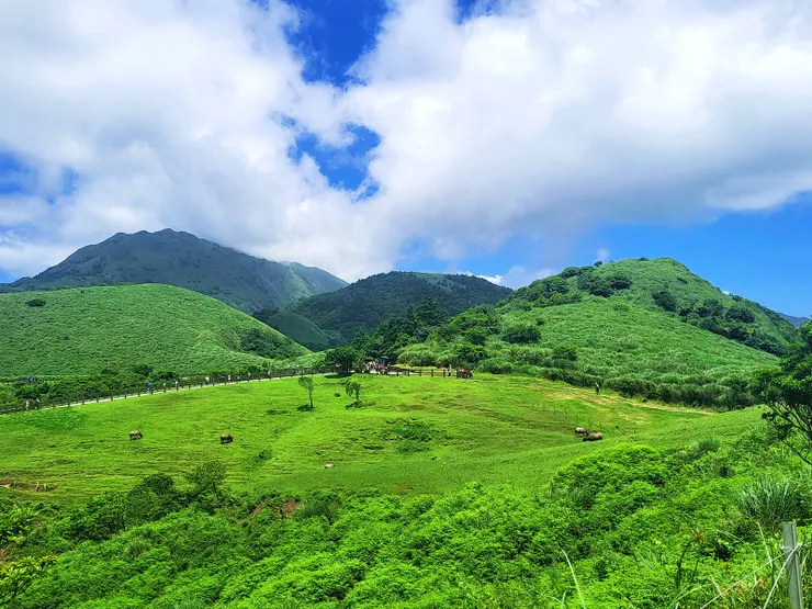 翻越大嶺（擎天崗）