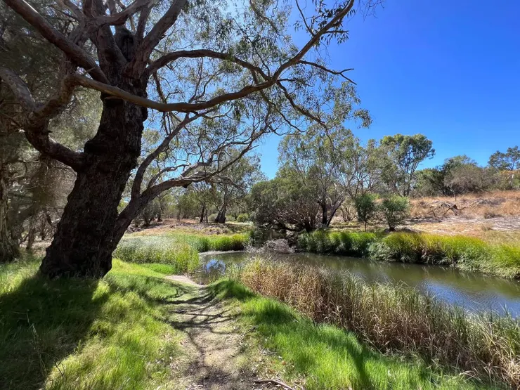 對啊!因為覺得漂亮就拍了