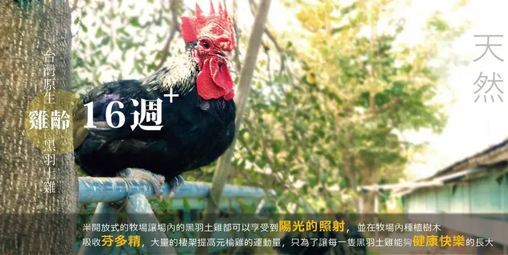 #圖片來源：pchome/元榆【牧場】原味土雞滴雞精60mlx6入禮盒(無添加/送禮首選)