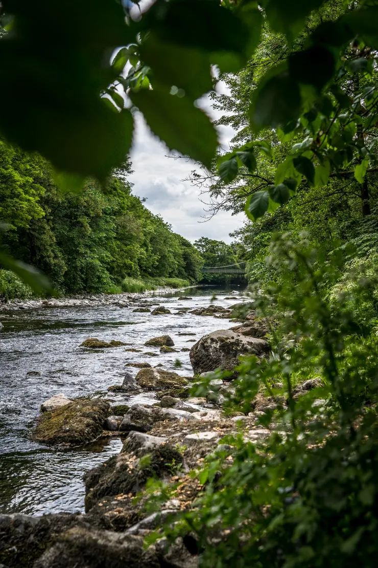 圖片來源：Jonny Gios on Unplash